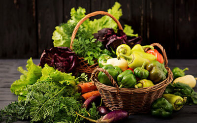 Nacionalno udruženje Serbia Organika uz podršku GIZ projekta za razvoj privatnog sektora u Srbiji u saradnji sa Regionalnim razvojnim agencijama organizuje obuke iz oblasti organske proizvodnje