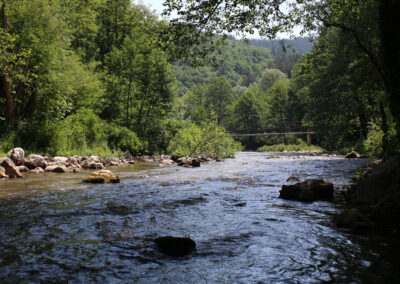Zelena Jerma – hiljadugodišnja lepotica lepe budućnosti